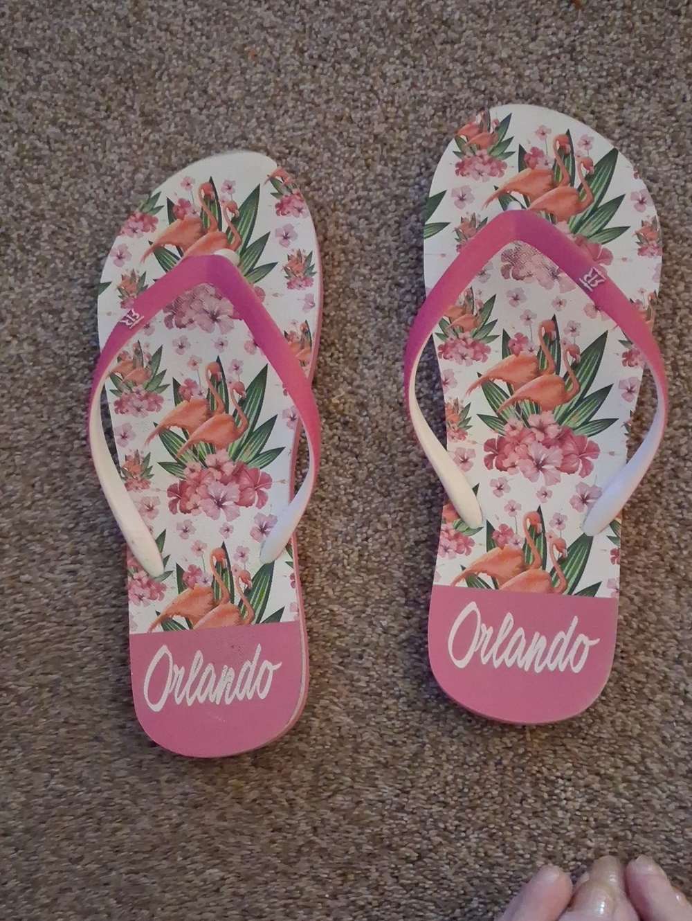 Summer Flip Flops Sz 9